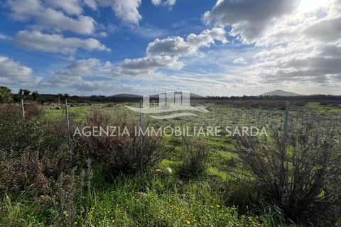 Erhvervsejendom i Alghero, Sassari, Alghero - € 30.000 | Ref: ALGHE82 - foto 11