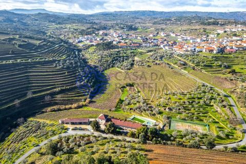 Farm i Alijo, Vila Real, Alijo - € 1.867.000 | Ref: 1119541 - foto 2