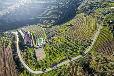 Farm i Alijo, Vila Real, Alijo - € 1.867.000 | Ref: 1119541 - foto 10