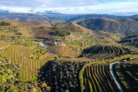 Farm i Alijo, Vila Real, Alijo - € 1.867.000 | Ref: 1119541 - foto 4