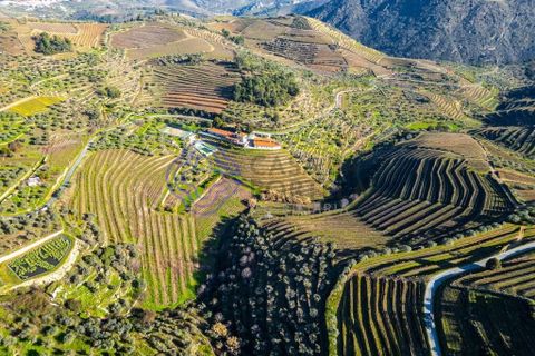 Farm i Alijo, Vila Real, Alijo - € 1.867.000 | Ref: 1119541 - foto 6