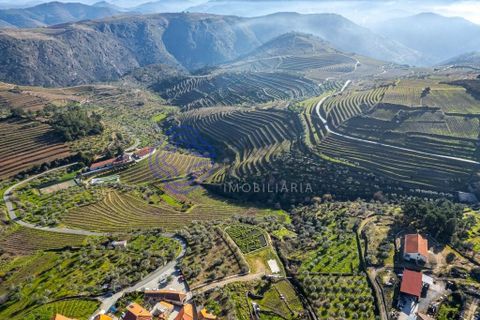 Farm i Alijo, Vila Real, Alijo - € 1.867.000 | Ref: 1119541 - foto 5
