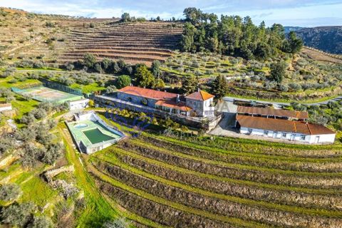 Farm i Alijo, Vila Real, Alijo - € 1.867.000 | Ref: 1119541 - foto 9