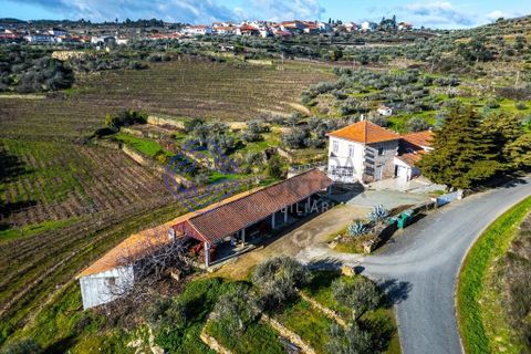 Farm i Alijo, Vila Real, Alijo - € 1.867.000 | Ref: 1119541 - foto 11