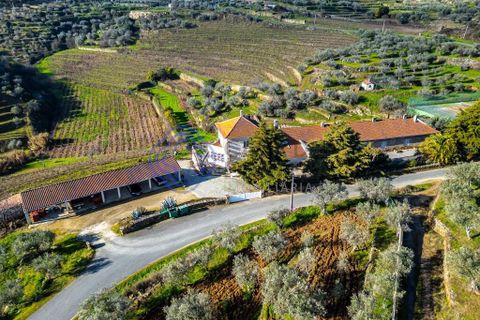 Farm i Alijo, Vila Real, Alijo - € 1.867.000 | Ref: 1119541 - foto 12