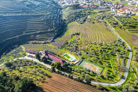 Farm i Alijo, Vila Real, Alijo - € 1.867.000 | Ref: 1119541 - foto 3