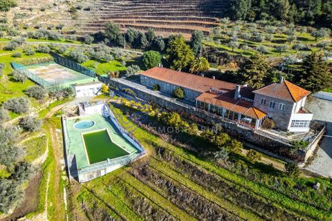 Farm i Alijo, Vila Real, Alijo - € 1.867.000 | Ref: 1119541 - foto 13