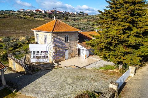 Farm i Alijo, Vila Real, Alijo - € 1.867.000 | Ref: 1119541 - foto 14