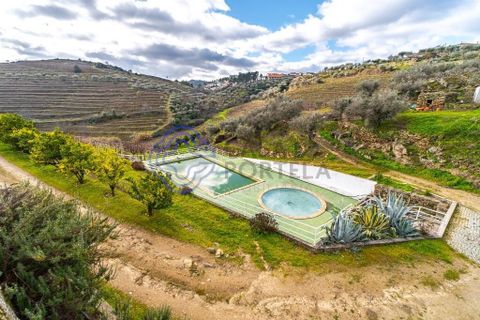 Farm i Alijo, Vila Real, Alijo - € 1.867.000 | Ref: 1119541 - foto 8