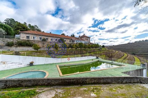 Farm i Alijo, Vila Real, Alijo - € 1.867.000 | Ref: 1119541 - foto 16