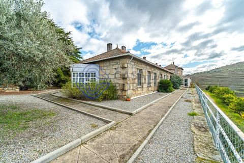 Farm i Alijo, Vila Real, Alijo - € 1.867.000 | Ref: 1119541 - foto 17