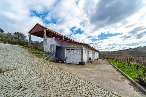 Farm i Alijo, Vila Real, Alijo - € 1.867.000 | Ref: 1119541 - foto 19