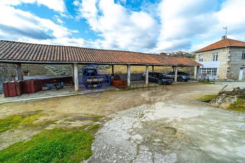 Farm i Alijo, Vila Real, Alijo - € 1.867.000 | Ref: 1119541 - foto 20