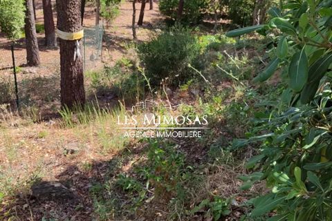 Villa i Frejus, Var, Frejus - € 500.000 | Ref: 7250 - foto 33