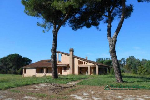 Villa i Rome, Rome, Rome - € 1.400.000 | Ref: VE0015 - foto 7