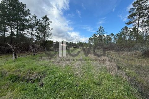 Helårsgrund i Castelo Branco, Castelo Branco, Castelo Branco - € 33.000 | Ref: 4007 - foto 2