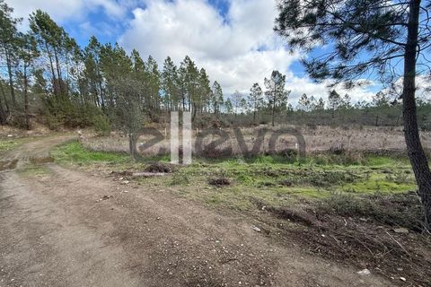 Helårsgrund i Castelo Branco, Castelo Branco, Castelo Branco - € 33.000 | Ref: 4007 - foto 3