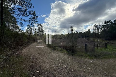 Helårsgrund i Castelo Branco, Castelo Branco, Castelo Branco - € 33.000 | Ref: 4007 - foto 4