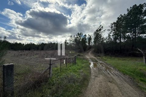 Helårsgrund i Castelo Branco, Castelo Branco, Castelo Branco - € 33.000 | Ref: 4007 - foto 5
