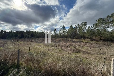 Helårsgrund i Castelo Branco, Castelo Branco, Castelo Branco - € 33.000 | Ref: 4007 - foto 7