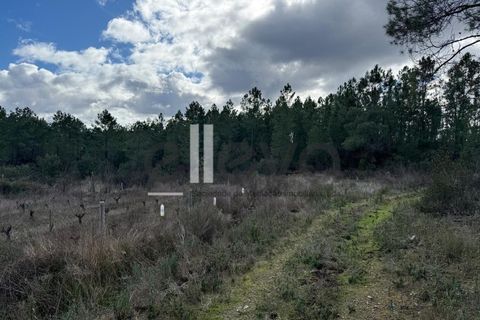Helårsgrund i Castelo Branco, Castelo Branco, Castelo Branco - € 33.000 | Ref: 4007 - foto 9