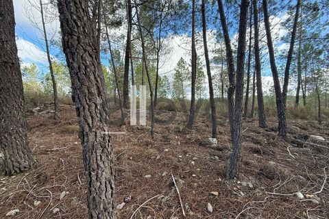 Helårsgrund i Castelo Branco, Castelo Branco, Castelo Branco - € 33.000 | Ref: 4007 - foto 11