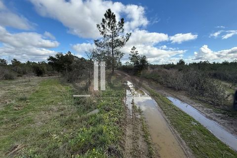 Helårsgrund i Castelo Branco, Castelo Branco, Castelo Branco - € 33.000 | Ref: 4007 - foto 12