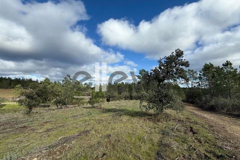 Helårsgrund i Castelo Branco, Castelo Branco, Castelo Branco - € 33.000 | Ref: 4007 - foto 15