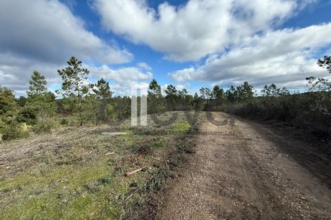 Helårsgrund i Castelo Branco, Castelo Branco, Castelo Branco - € 33.000 | Ref: 4007 - foto 14