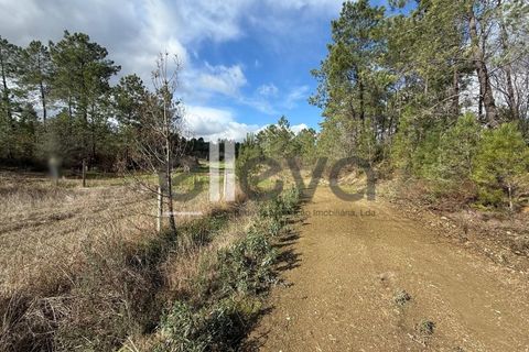 Helårsgrund i Castelo Branco, Castelo Branco, Castelo Branco - € 33.000 | Ref: 4007 - foto 16