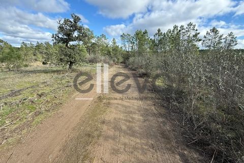 Helårsgrund i Castelo Branco, Castelo Branco, Castelo Branco - € 33.000 | Ref: 4007 - foto 17