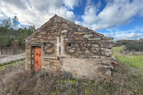 Helårsgrund i Castelo Branco, Castelo Branco, Castelo Branco - € 32.000 | Ref: 4008 - foto 1