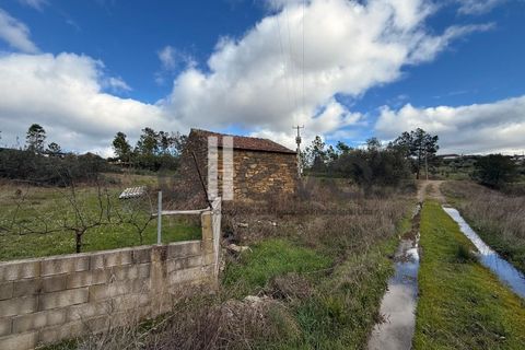 Helårsgrund i Castelo Branco, Castelo Branco, Castelo Branco - € 32.000 | Ref: 4008 - foto 4