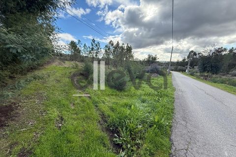 Helårsgrund i Castelo Branco, Castelo Branco, Castelo Branco - € 32.000 | Ref: 4008 - foto 5