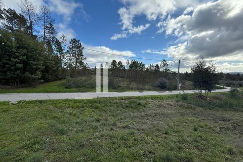Helårsgrund i Castelo Branco, Castelo Branco, Castelo Branco - € 32.000 | Ref: 4008 - foto 6
