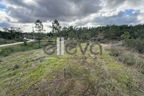 Helårsgrund i Castelo Branco, Castelo Branco, Castelo Branco - € 32.000 | Ref: 4008 - foto 7