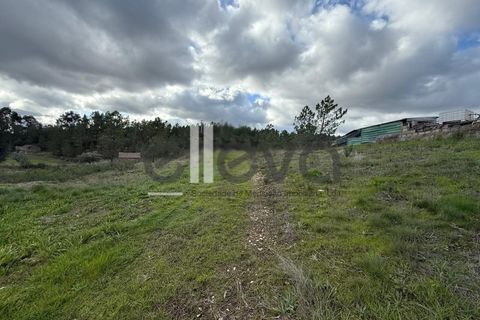 Helårsgrund i Castelo Branco, Castelo Branco, Castelo Branco - € 32.000 | Ref: 4008 - foto 8