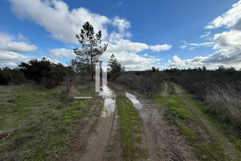 Helårsgrund i Castelo Branco, Castelo Branco, Castelo Branco - € 32.000 | Ref: 4008 - foto 10