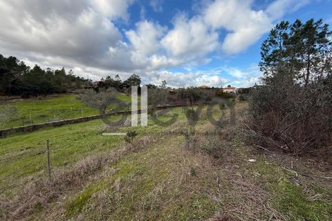 Helårsgrund i Castelo Branco, Castelo Branco, Castelo Branco - € 32.000 | Ref: 4008 - foto 11
