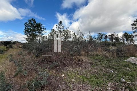 Helårsgrund i Castelo Branco, Castelo Branco, Castelo Branco - € 32.000 | Ref: 4008 - foto 12