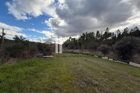 Helårsgrund i Castelo Branco, Castelo Branco, Castelo Branco - € 32.000 | Ref: 4008 - foto 13