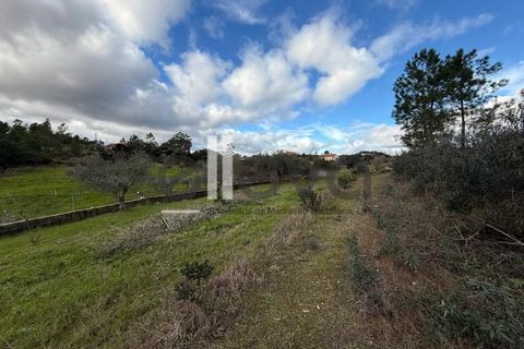 Helårsgrund i Castelo Branco, Castelo Branco, Castelo Branco - € 32.000 | Ref: 4008 - foto 15