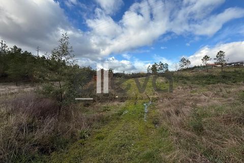 Helårsgrund i Castelo Branco, Castelo Branco, Castelo Branco - € 32.000 | Ref: 4008 - foto 16