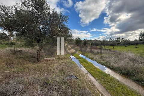Helårsgrund i Castelo Branco, Castelo Branco, Castelo Branco - € 32.000 | Ref: 4008 - foto 17