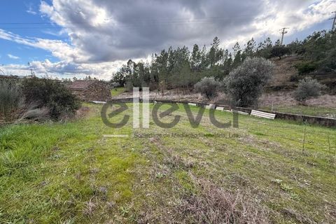 Helårsgrund i Castelo Branco, Castelo Branco, Castelo Branco - € 32.000 | Ref: 4008 - foto 19