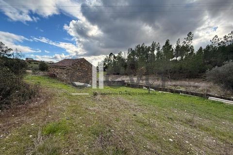 Helårsgrund i Castelo Branco, Castelo Branco, Castelo Branco - € 32.000 | Ref: 4008 - foto 20