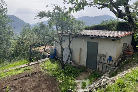 Villa i Sospel, Alpes-Maritimes, Sospel - € 499.000 | Ref: 82854660 - foto 4
