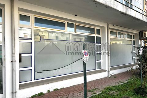 Erhvervsejendom i Codigoro, Ferrara, Codigoro - € 60.000 | Ref: Ma 1837 - foto 4