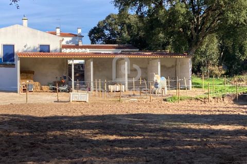 Farm i Alcobaca, Leiria, Alcobaca - € 470.000 | Ref: LP12012026 - foto 16