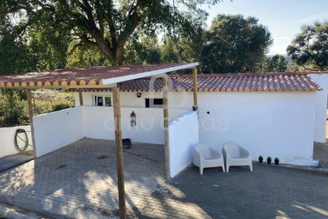 Farm i Alcobaca, Leiria, Alcobaca - € 470.000 | Ref: LP12012026 - foto 17